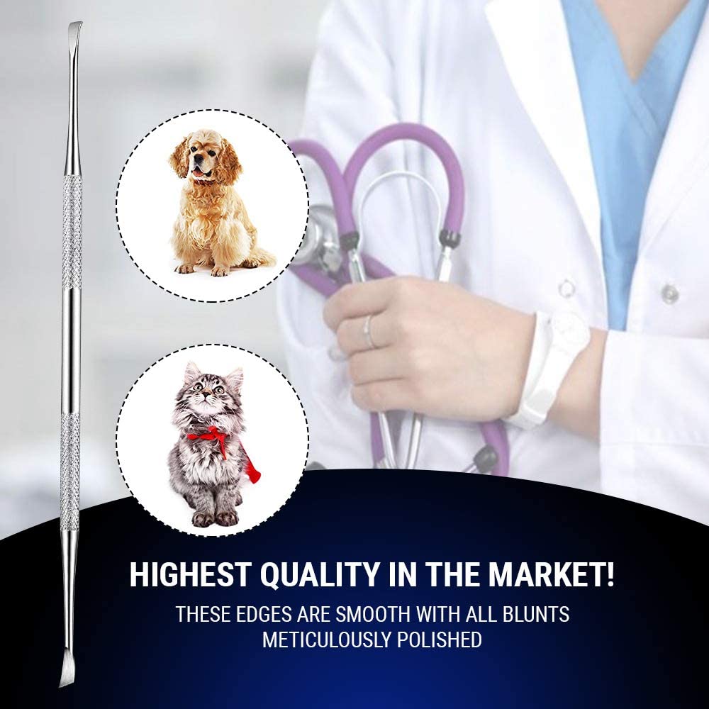 Dental Tooth Scaler Plaque Remover