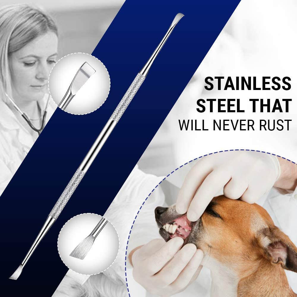 Dental Tooth Scaler Plaque Remover