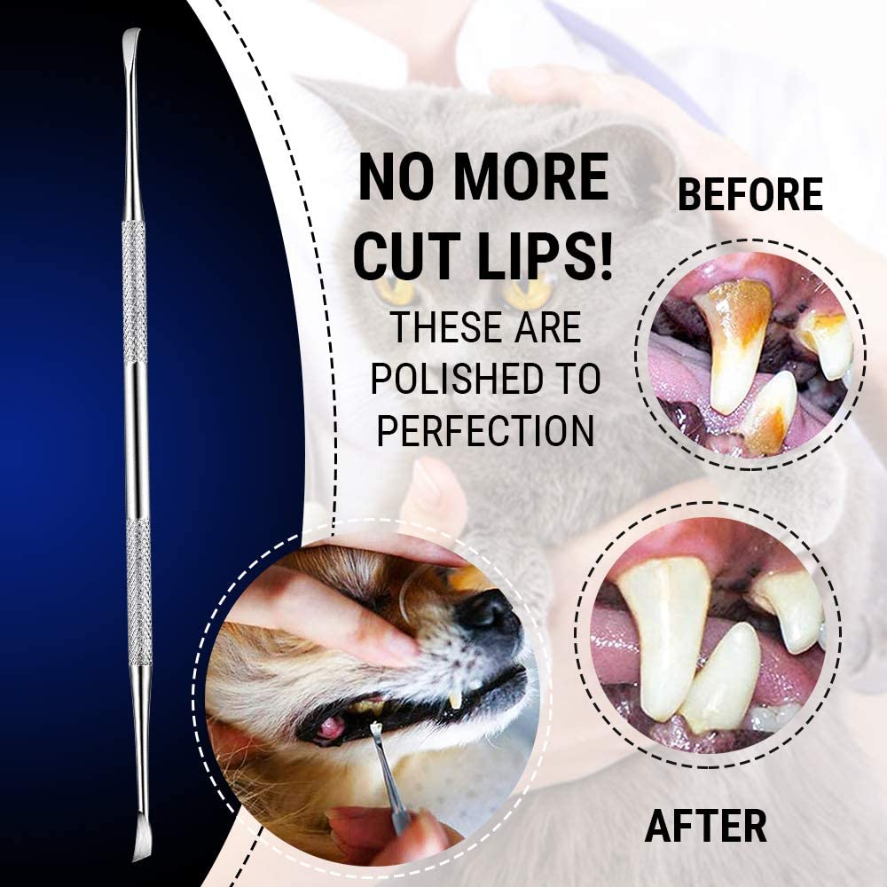 Dental Tooth Scaler Plaque Remover