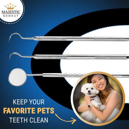 Dental Hygiene Tool Kit