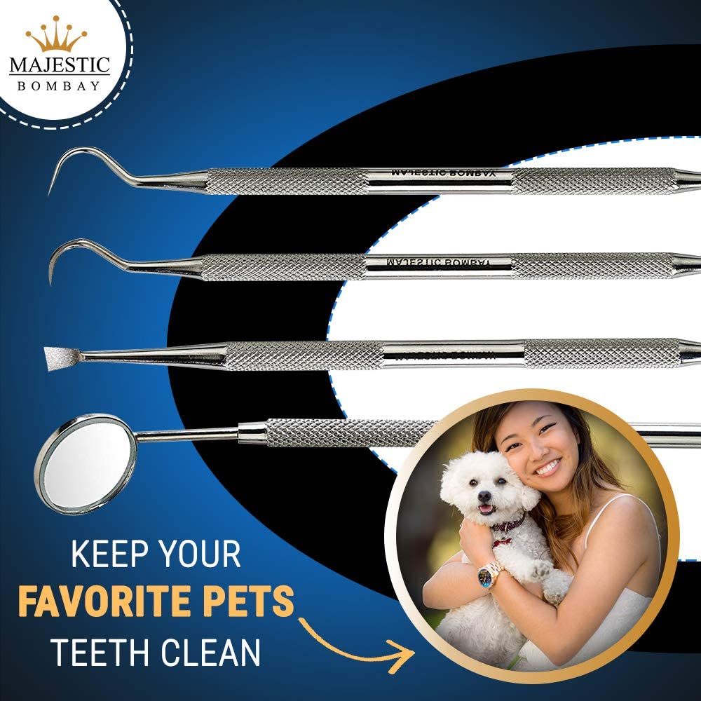 Dental Hygiene Tool Set