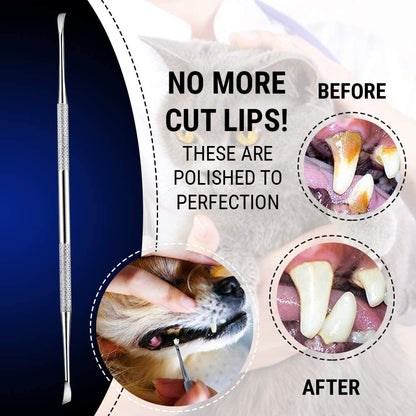 Dental Tooth Scaler Plaque Remover