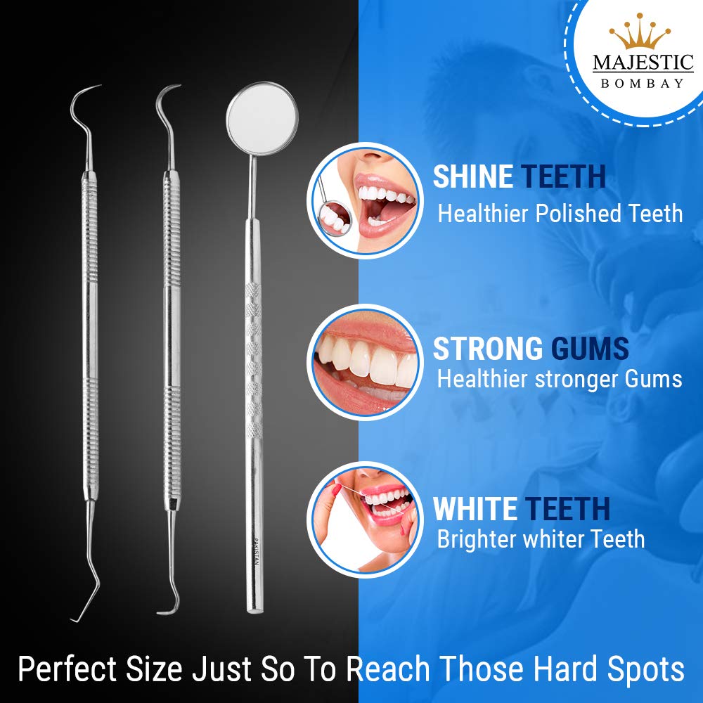 Dental Hygiene Tool Kit
