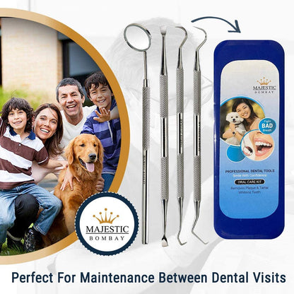 Dental Hygiene Tool Set